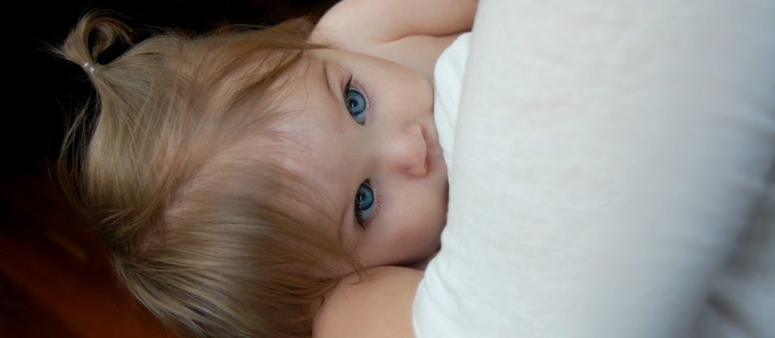 شیردهی ، کنترل بارداری