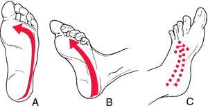 اعمال-ناخودآگاه-و-خودآگاه-نوزاد-بابنسکی