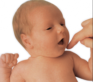 اعمال ناخودآگاه و خودآگاه نوزاد-جستجو