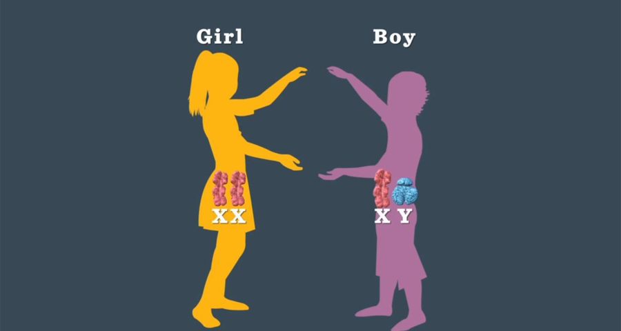 آزمایش‌های کروموزومی و تعیین جنسیت